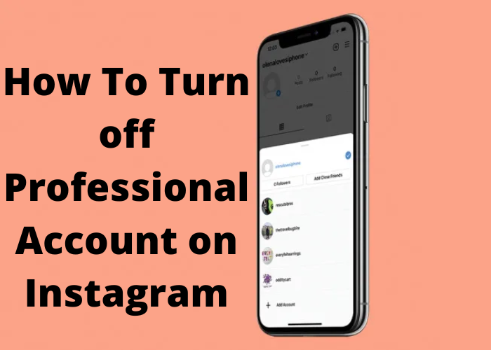 How To Turn Off Professional Account On Instagram Bludwing