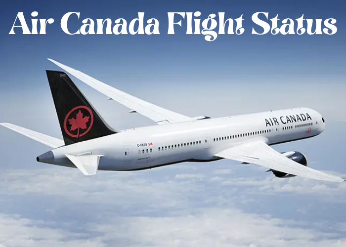 Air Canada Flight Status Bludwing