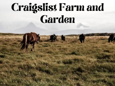 Craigslist Farm and Garden