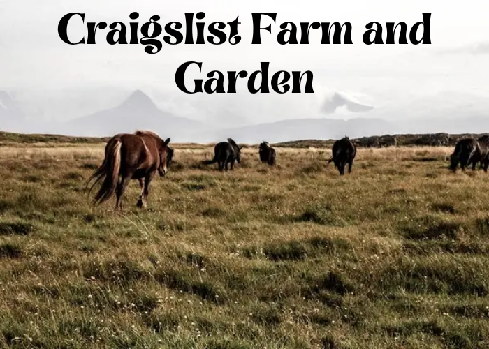 Craigslist Farm and Garden Bludwing