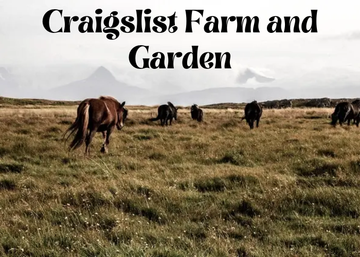 Craigslist Farm Garden East Texas Your Guide to Local Listings Garden