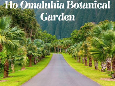 Ho Omaluhia Botanical Garden