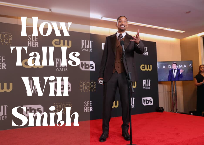 How Tall Is Will Smith | Bludwing