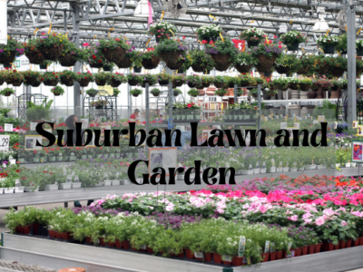Suburban Lawn and Garden