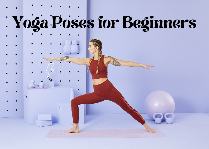 Yoga Poses for Beginners | Bludwing