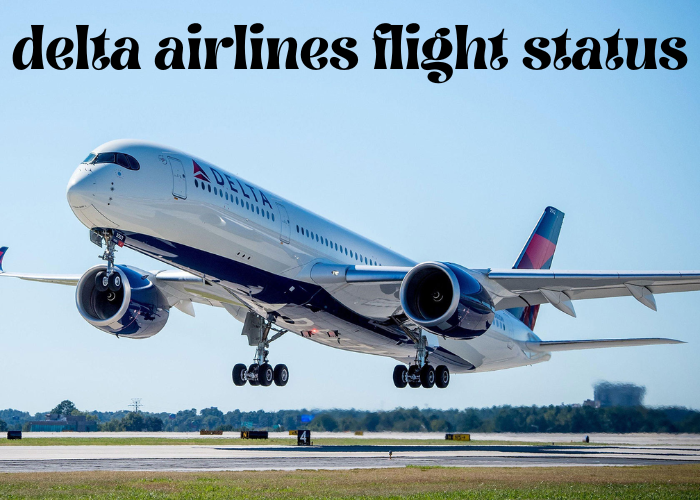 Delta Airlines Flight Status Bludwing