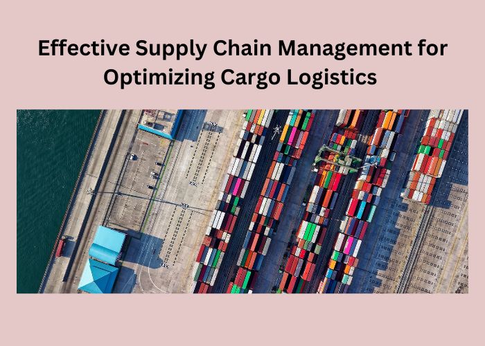 Effective Supply Chain Management: Optimizing Cargo Logistics For 